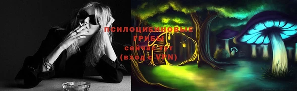 mdpv Бронницы