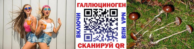 мега сайт  магазин  наркотиков  Вуктыл  Галлюциногенные грибы мицелий 